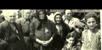 The Auschwitz Albums