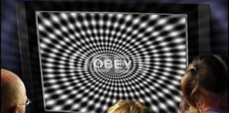 The Collective Evolution