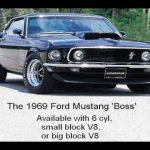 Falsifying Phylogeny