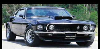 Falsifying Phylogeny