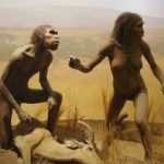 The Evolution From Ape To Man