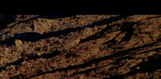 Kingdom of David: The Saga of the Israelites