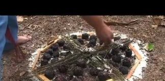 2012: The Mayan Word