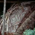 The Tribal Eye: Man Blong Custom