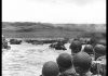 Surviving D-Day