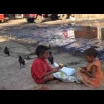 Active Compassion: Our Role for a Better World