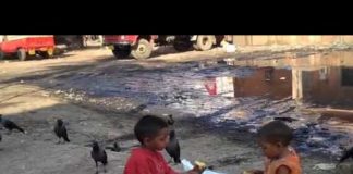 Active Compassion: Our Role for a Better World