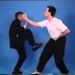 Wing Chun: Ip Chun: Wooden Dummy Techniques and Applications