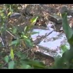 Deir Yassin Remembered