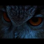 The Eagle Owl: The Lord of the Night
