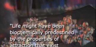 Unlocking the Mystery of Life