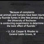 Fluoride Deception