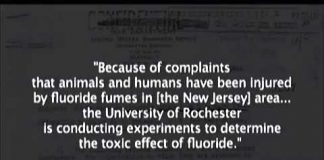 Fluoride Deception