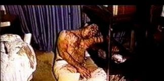 The Wonderland Murders