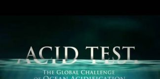 Acid Test: The Global Challenge of Ocean Acidification