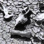 The Plow that Broke the Plains (1936)