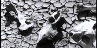 The Plow that Broke the Plains (1936)