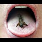 Can Eating Insects Save the World