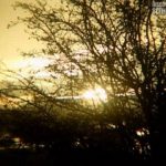 Why Are We Here: Richard Dawkins