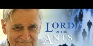 Lord of the Ants