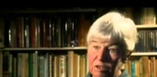 Helen: The Woman with 7 Personalities