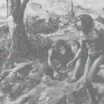 Creationist Junk Debunked