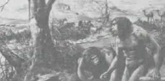 Creationist Junk Debunked