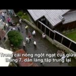 Satoyama – Japan’s Secret Watergarden