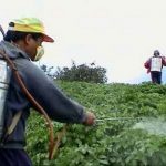 Dangers of Pesticides, Food Additives