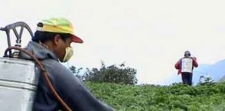 Dangers of Pesticides, Food Additives