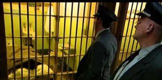 Breakout from Alcatraz