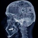 Terence Mckenna – Culture is your operating system