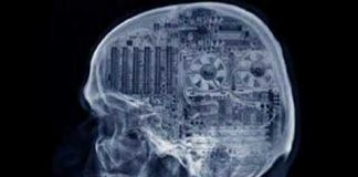 Terence Mckenna – Culture is your operating system