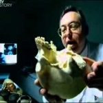 The Day We Learned To Think