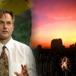 Growing Up in the Universe – Designed and Designoid Objects