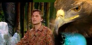 Growing Up in the Universe – Climbing Mount Improbable