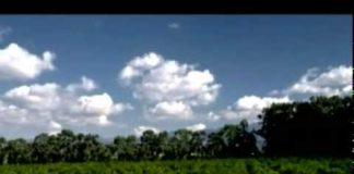 Aerosol Crimes (aka Chemtrails)