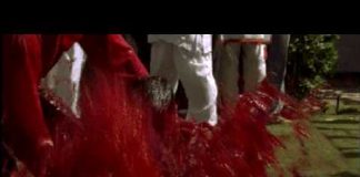 Cracking the Colour Code