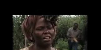 Awakening the Dreamer: Changing the Dream