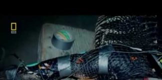 Predator CSI – Zombie Alligators