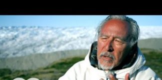 Greed: A Fatal Desire