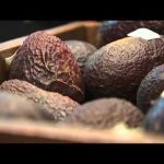 Low Carb Diet: Fat or Fiction?