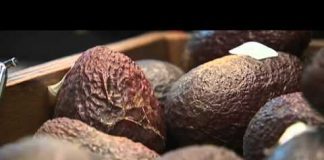 Low Carb Diet: Fat or Fiction?