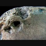 Gladiators: Back From The Dead