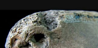 Gladiators: Back From The Dead