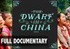 The Dwarf in China