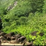 The Seychelles Islands