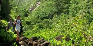 The Seychelles Islands