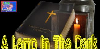 A Lamp in the Dark: The Untold History of the Bible
