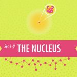 Crash Course: Chemistry